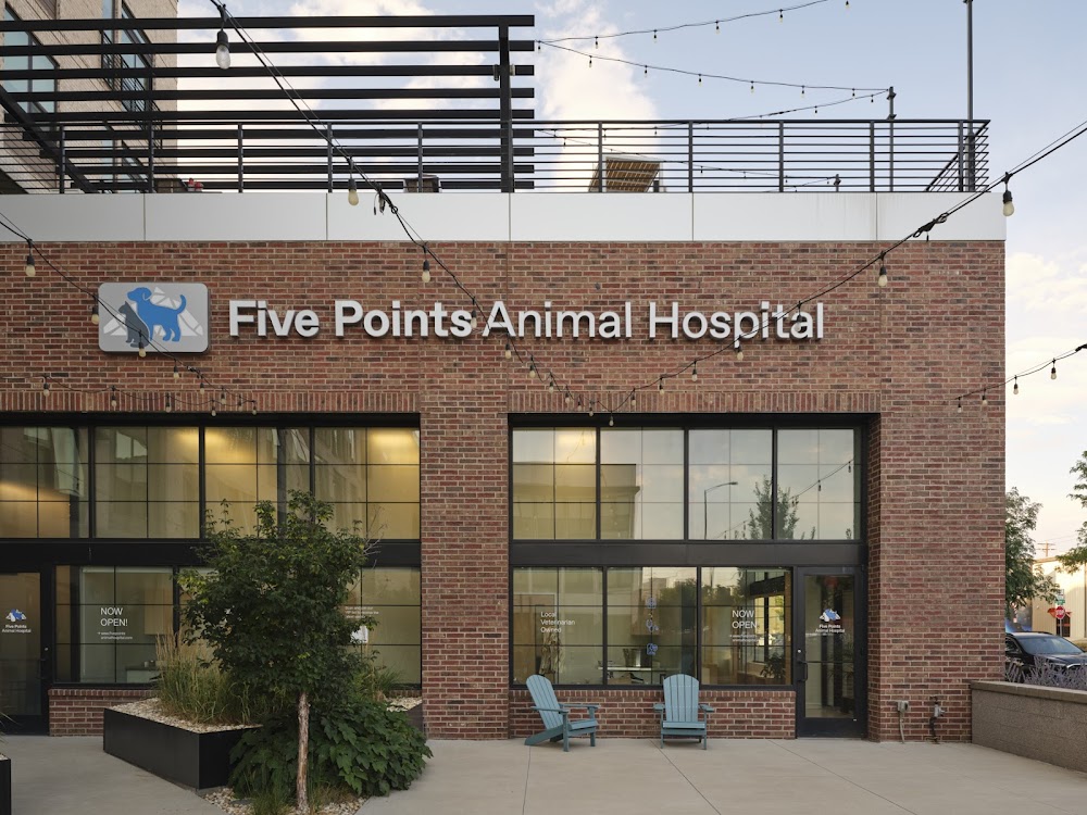 Five Points Animal Hospital