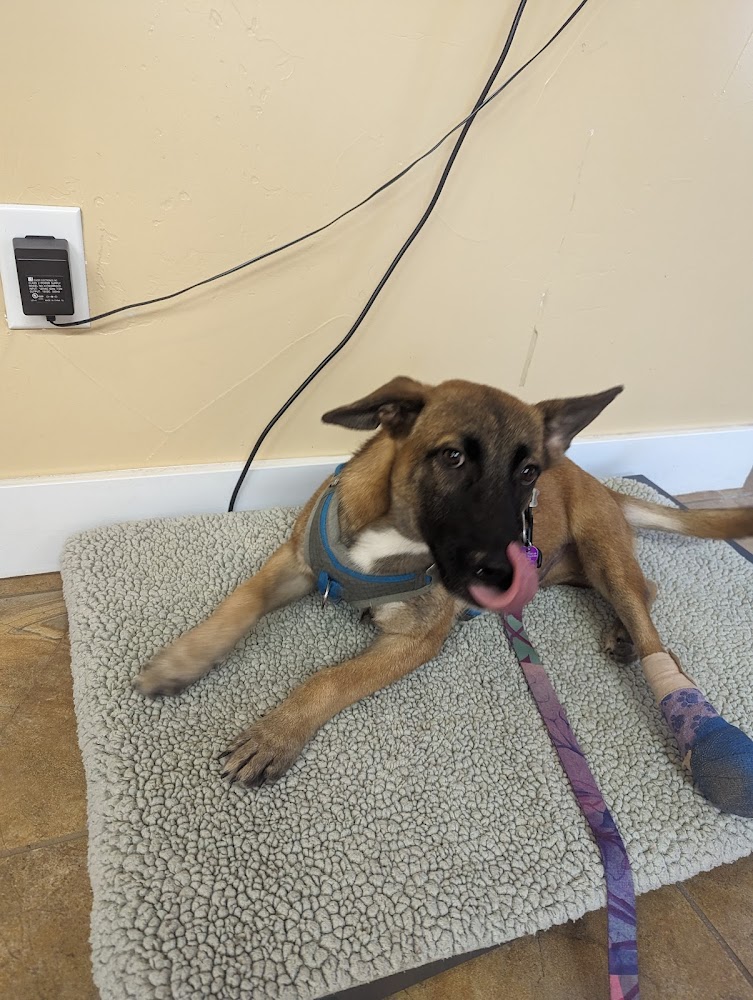 Second Chances Veterinary Care