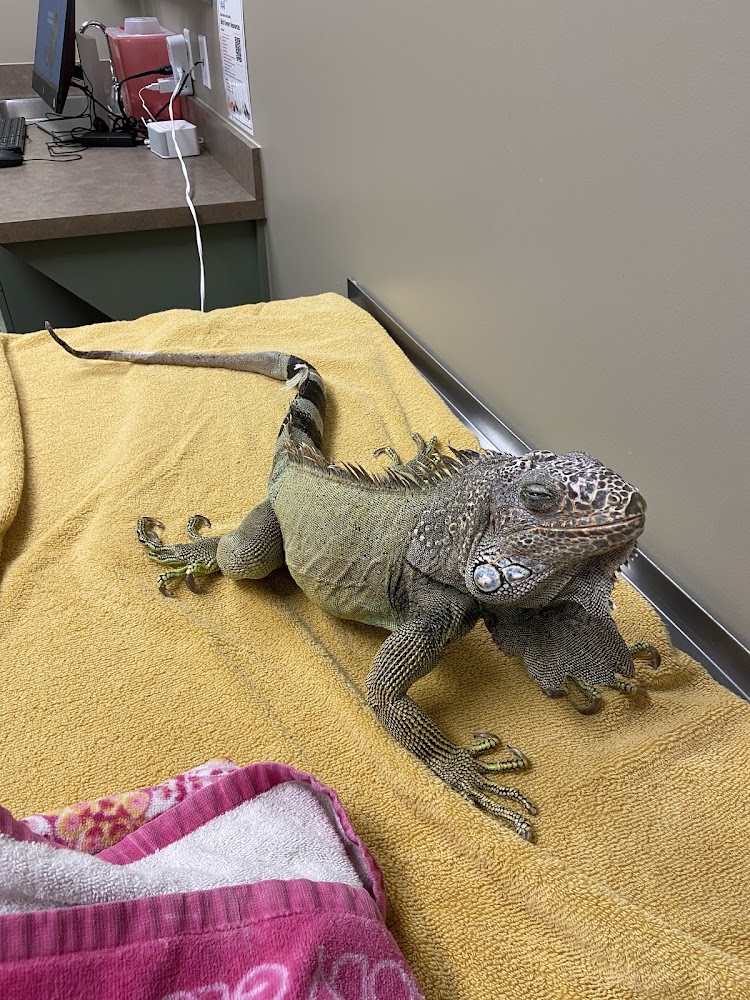 Exotic Pet Vets (Denver)
