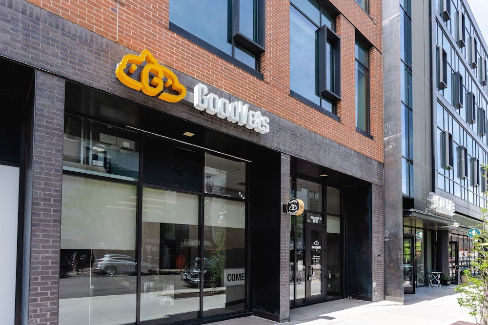 GoodVets LoHi