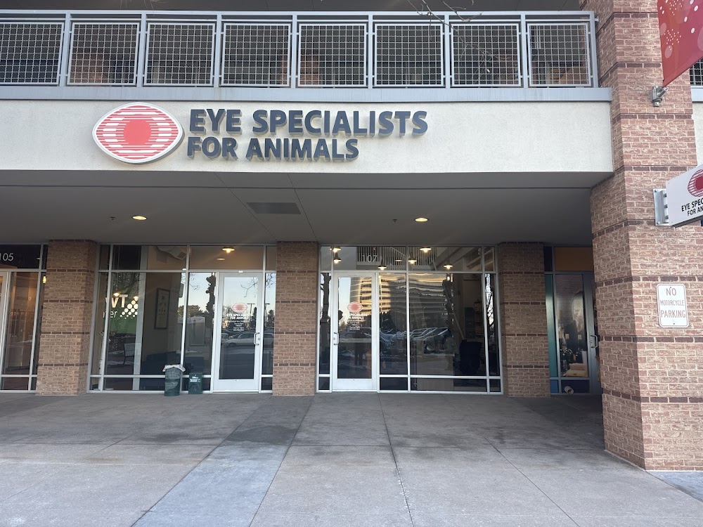 Eye Specialists for Animals