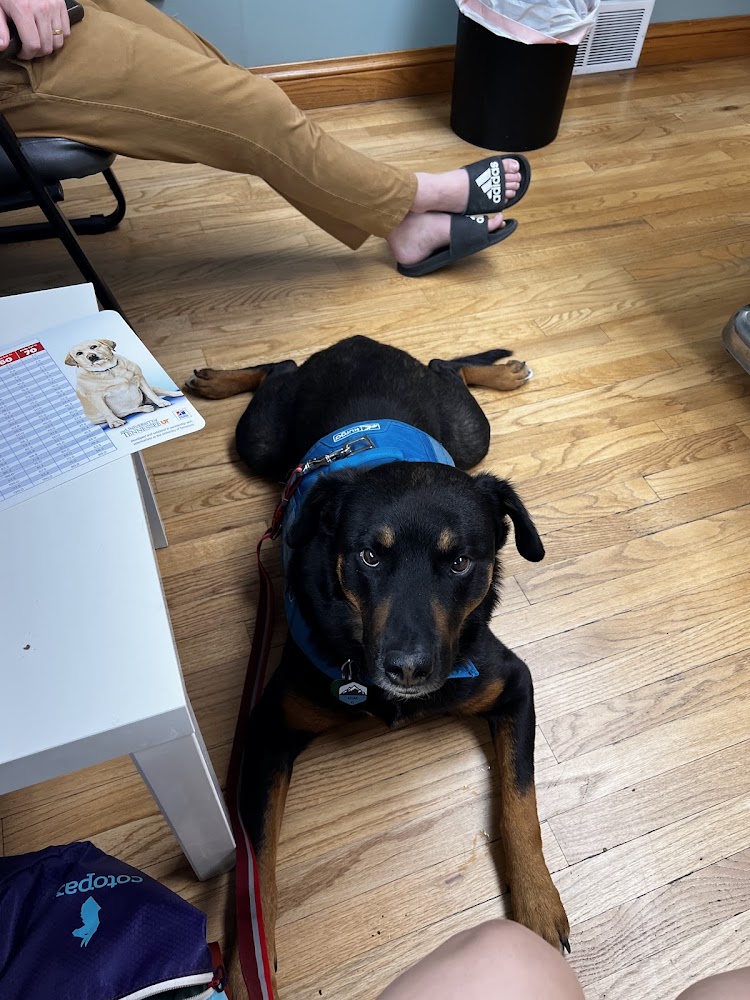 Wadsworth Animal Hospital
