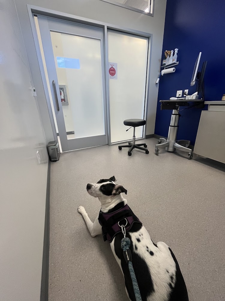 Goodheart Animal Health Center
