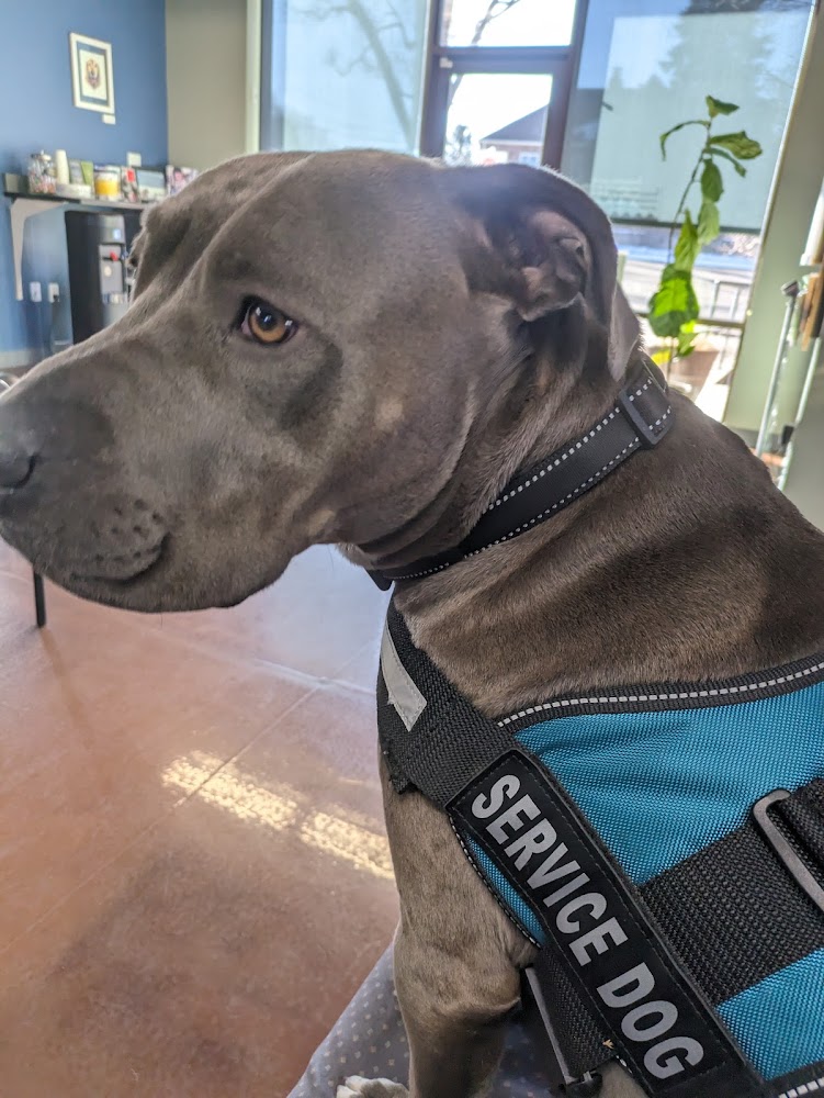 Broadview Animal Clinic