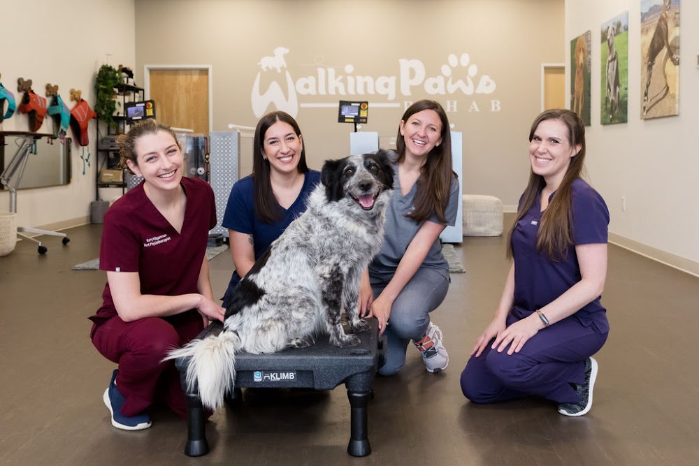Walking Paws Rehab
