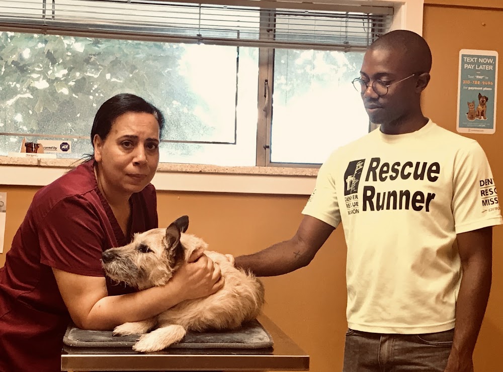 Pets R Us Aurora