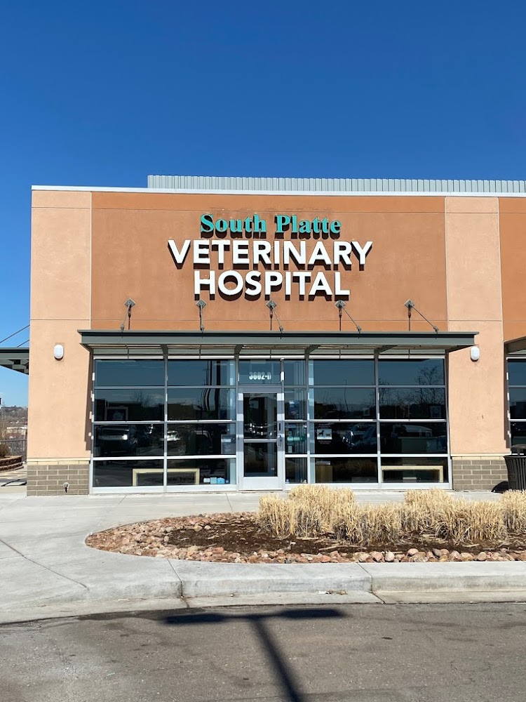 South Platte Veterinary Hospital