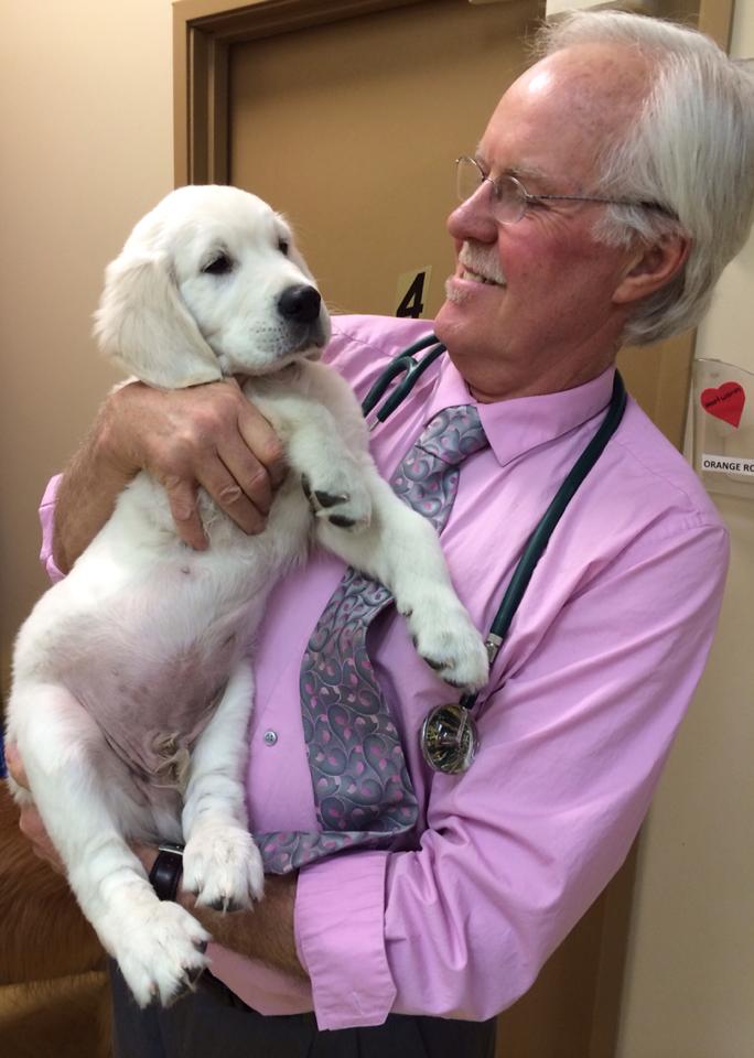Fox Hollow Animal Hospital
