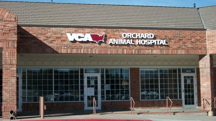 VCA Orchard Animal Hospital